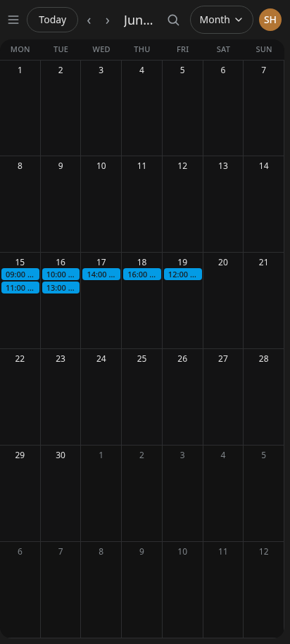 The month view on a phone