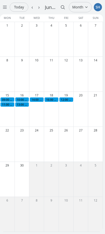 The month view on a phone